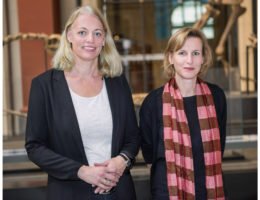 Langfristiges Museumsnetzwerk: Cornelsen kooperiert mit dem Museum für Naturkunde Berlin