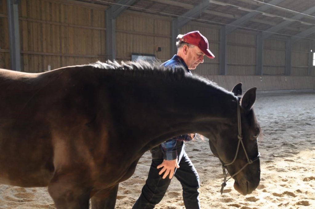 Führen durch Ausstrahlung und Körperhaltung: Joachim Lang beim Pferde-gestützten Coaching.