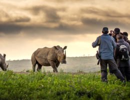 Mit-dem-Rhino-Flüsterer-Elela-Africa