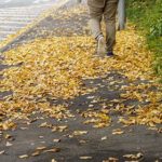 Nasses Herbstlaub kann Bürgersteige schnell in rutschige Flächen verwandeln. Foto: HUK-COBURG