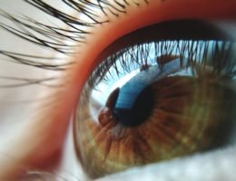 Bei der Augenkrankheit "Grauer Star" gilt eine Operation als die einzig wirksame Therapie. (Bildquelle: ERGO Group)