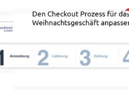 Den-Allgemeiner-Debitoren-und-Inkassodienst-GmbH-Den-Checkout-Prozess-für-das-Weihnachtsgeschäft-anpassen