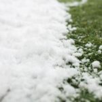 Frostgefahr im Garten (Bild: 123rf