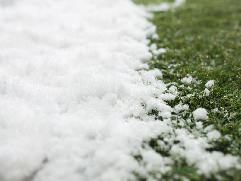 Frostgefahr im Garten (Bild: 123rf