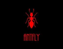 Über Antfly Webdesigner, die Web und New Media Initiative