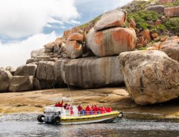 Mit dem Amphibienfahrzeug ans Ende der Welt   Neue Wildnis-Touren im australischen Victoria