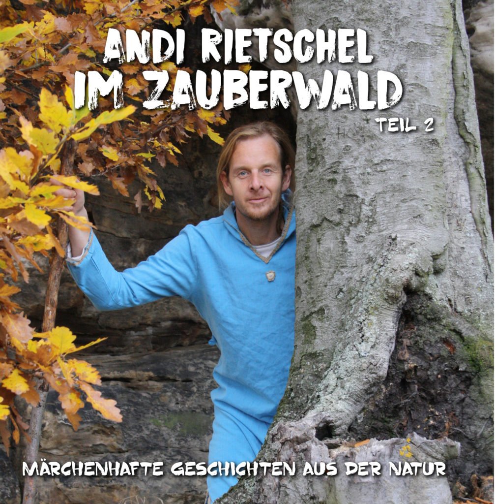 Andi Rietschel im Zauberwald Teil 2 Cover vorn
