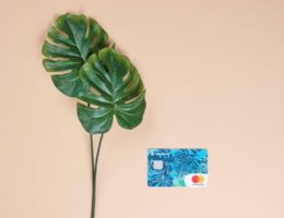 SpenditCard für steuerfreie Sachbezüge
