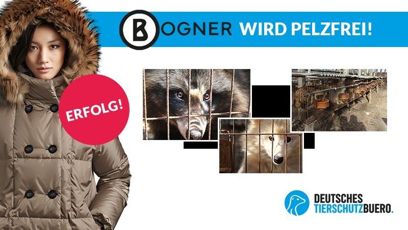 Tierrechtsorganisation feiert Erfolg: Bogner steigt bis Winter 2022/2023 weltweit aus dem Pelzgeschäft aus