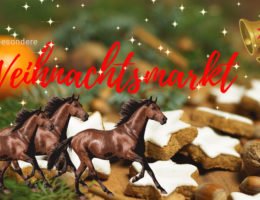 Foto: Virtueller Weihnachtsmarkt für ReiterInnen von Reiterfragen.de