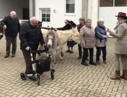 "Rabbel de Büx" mit Annette Engelhardt und den geretteten Eseln von Gut Aiderbichl Niedersachsen