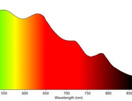 Das Lichtspektrum der Leuchtdioden umfasst einen Bereich von von 360 bis 1000nm. (Bildquelle: euroLighting)
