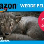 Über 65.000 Menschen fordern Amazon auf