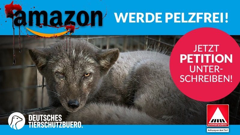 Über 65.000 Menschen fordern Amazon auf