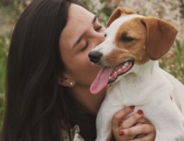 Special Wandern mit Hund: Alle Gastgeber für einen Urlaub mit Hund im Frühling 2020