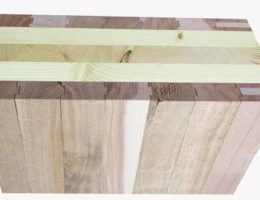 Holzbausystem Holzverbund-Systemziegel