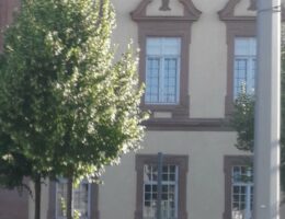 Arbeitsrecht in Mannheim: Betriebsrat in Corona Zeiten