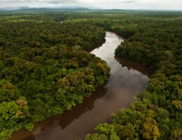 Essequibo River__AerialView©PeteOxford