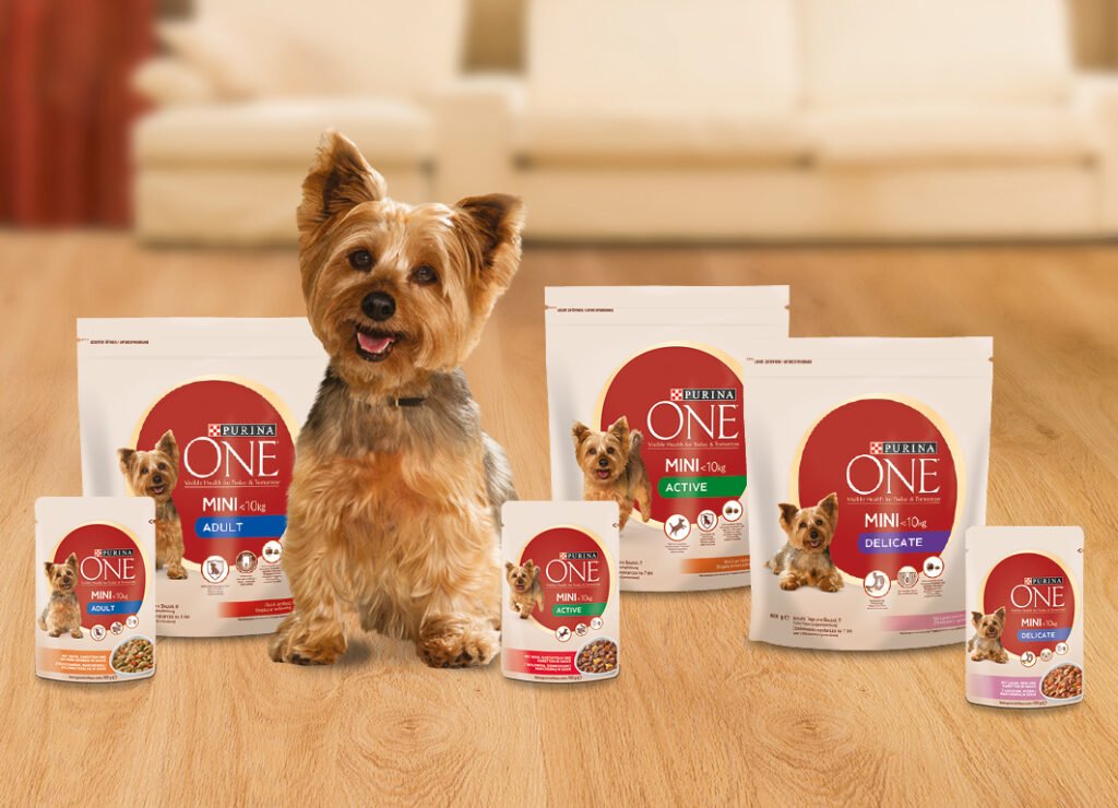 Purina ONE® MINI: maßgeschneiderte Ernährung für kleine Hunde (Bildquelle: @Purina)