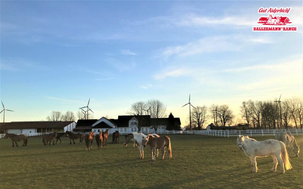 Die Ballermann Ranch in Niedersachsen gehört zu Gut Aiderbichl - Die Heimat der geretteten Tiere