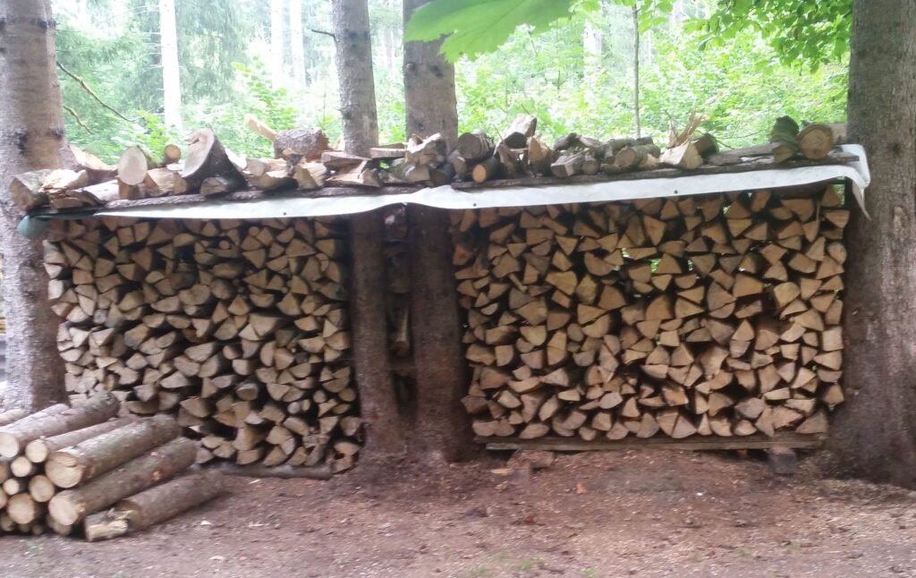 In Deutschland wächst jährlich mehr Holz nach