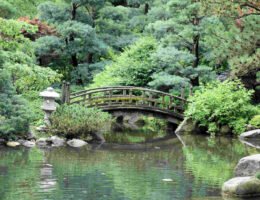 Idylle in perfekter Harmonie: kleine Brücke in Anderson Japanese Gardens in Rockford.