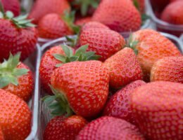 AGRAVIS-Experte im Interview zur Erdbeersaison 2020