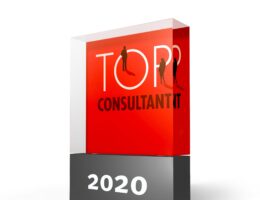 TOP CONSULTANT Award 2020 (Bildquelle: @TopConsultant)