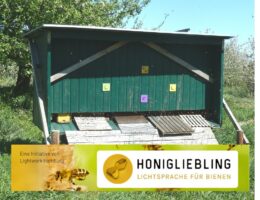 Honigliebling_Lichtsprache für Bienen