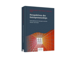 Buch Entrepreneurship OriginalBuch Perspektiven des Entrepreneurships