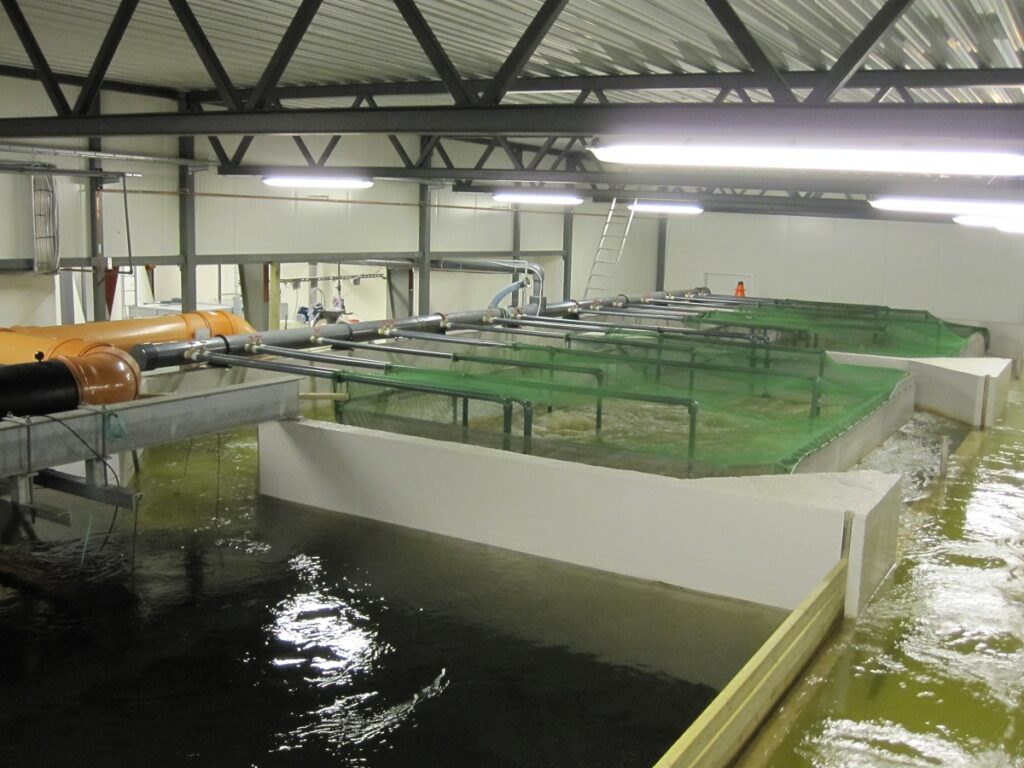 Indoor Aquakultur