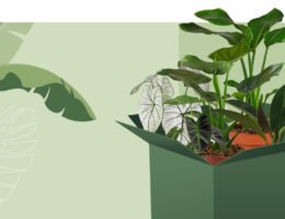 Grüne Quetsch Box: Plantler gibt unvollkommenen Pflanzen eine zweite Chance!