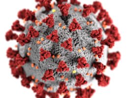 SARS-CoV-2: Gen-Nano-Vakzine bergen unbekannte Gesundheitsgefahren