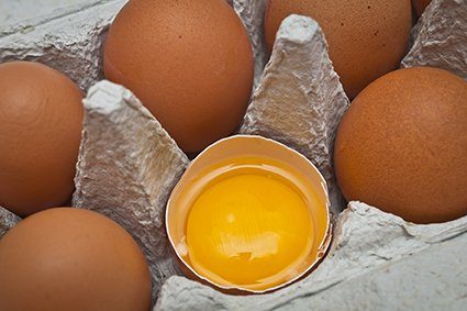 Eierkartons werden teilweise aus Altpapier hergestellt und gesundheitlich bedenklich.