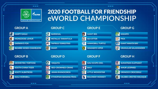 Kinder aus mehr als 100 Ländern nehmen an den "F4F" eWorld Championships 2020 teil. (Bildquelle: AGT/Football For Friendship)