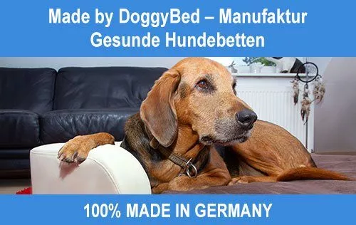 DoggyBed Medical Style Plus