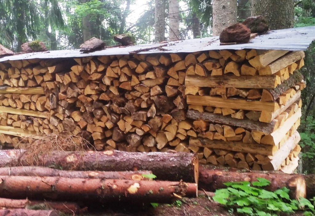 Der Kauf von Brennholz aus der Region unterstützt den Umbau der heimischen Wälder