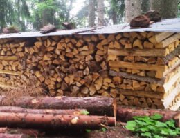 Der Kauf von Brennholz aus der Region unterstützt den Umbau der heimischen Wälder