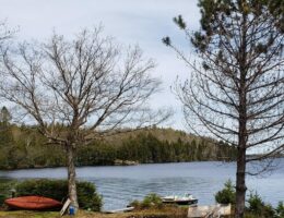 CAN Petermann 2019.06 807 Grant Lake in Fredericton aq 300 tiny-1b20c739