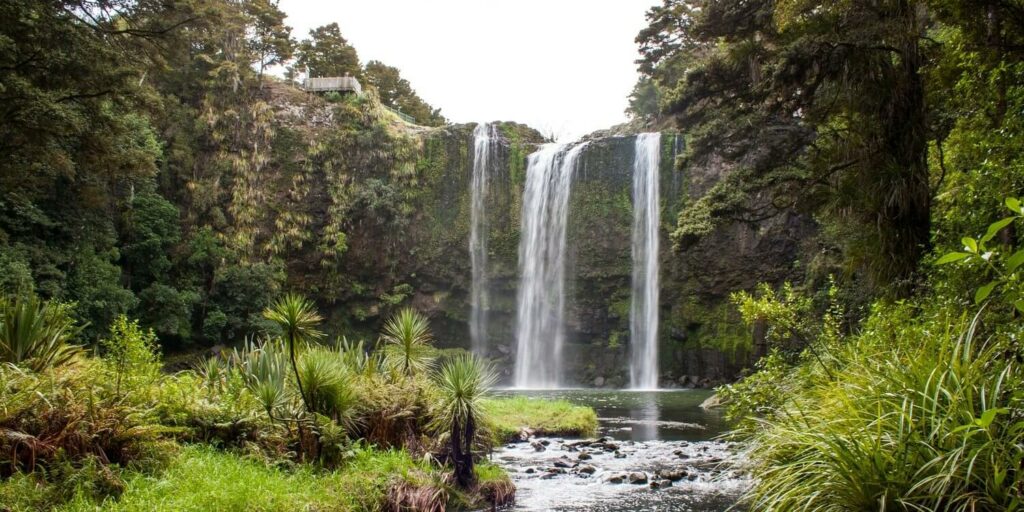 NZ Wasserfall Whangarei 2021.01.24 aq 300 tiny-93c49524