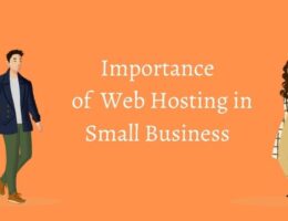 future-of-small-business-in-website-hosting-09db6b6d