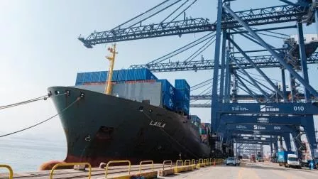 Bringt neue Güter für den europäischen Markt - das Containerschiff „Laila“. (Bildquelle: © CULines)