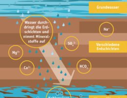 Mineralwasser ist Teil des natürlichen Wasserkreislaufs