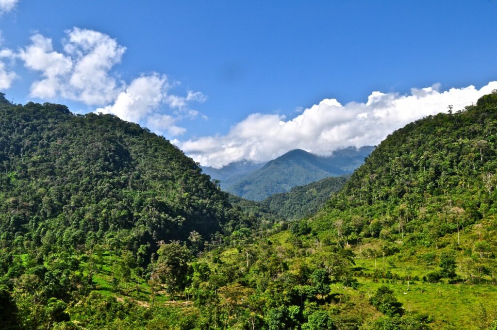 Regenwaldschutzprojekt im Andischen Regenwald (© Conservation International/Bailey Evans)