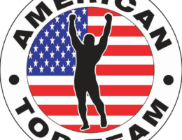 American Logo-15be3c94