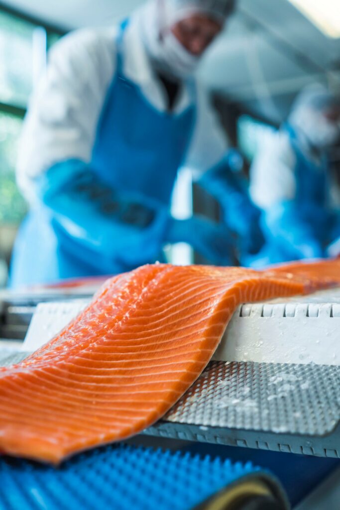 Neue Nottorf: Etwa 400 Tonnen hochwertigen Räucherfisch produzieren die Mecklenburger jedes Jahr.
