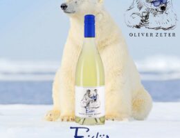 Eisbär Sauvignon Blanc - Keiner ist cooler als der Eisbär