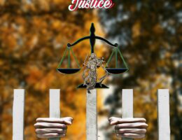 Justice titelbild-17446068