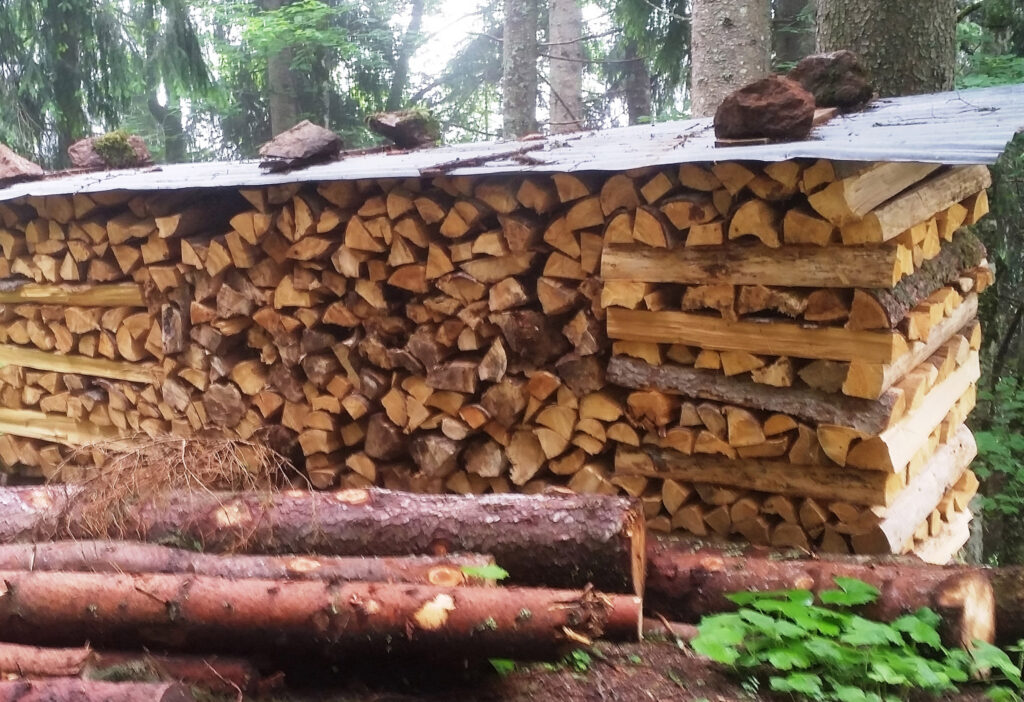 Brennholz reduziert die Heizkosten und Treibhausgase