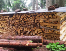 Brennholz reduziert die Heizkosten und Treibhausgase